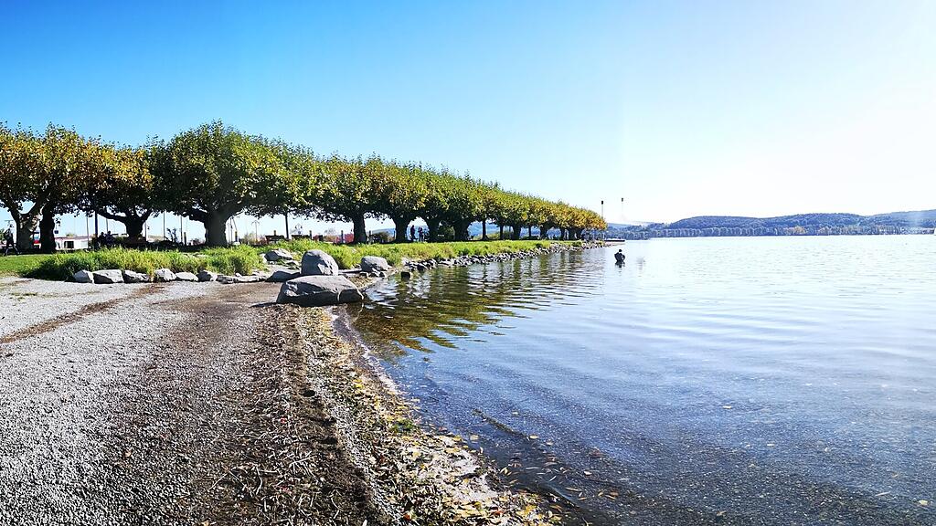 Haushaltsauflösung Radolzell am Bodensee 
